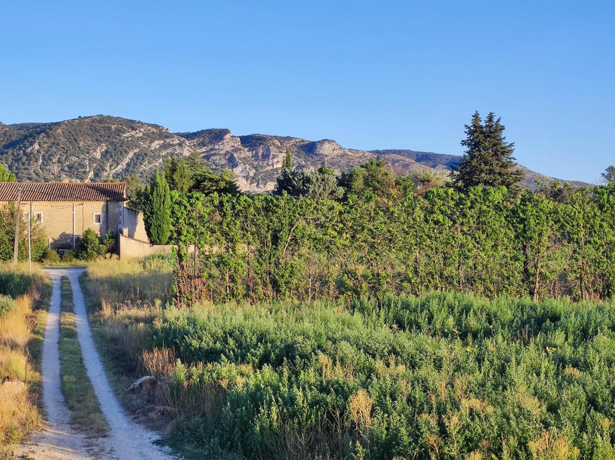 Chambre 3 Personnes Avec Salle De Bain Dans Mas Du Luberon Robion Extérieur photo